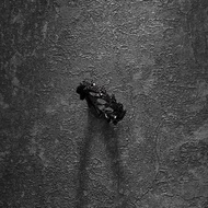 APM Monaco Dragon Tail Ring Diamond Black Ring Girls Silver Jewelry Fashionable Unique Design Sense 