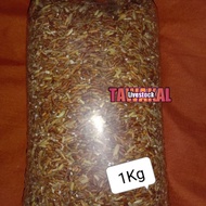beras merah 1 kg/ pakan ayam bangkok beras merah import 1 kg asli