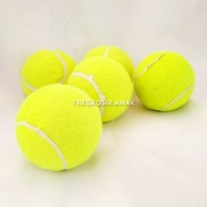 TGA (PRICE PER BALL) NEW Tennis Balls Field Kasti Bola Tennis