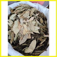 ◎ ◳ ♙ 1kg Laurel Leaves l Bayleaves I Dahon ng Laurel