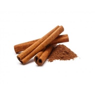 Anak Pokok Kulit Kayu Manis / Cinnamon Live Tree