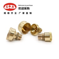Screw Cap Butter Cup Copper Leather Oil Cup Screw Oil Cup Butter Cup Washing Oil Cup Copper Washing 