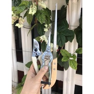Set of 3 bonsai and bonsai care tools