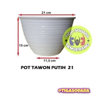 21 Cm white wasp pot Cute and adorable/ pot