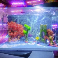 aquarium set lengkap