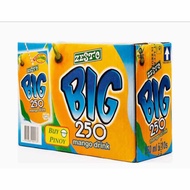 Big 250 Zesto Juice Drink (1 box x10) 250mlx10 (Mango)