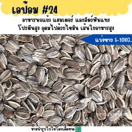 (5 KG./10 KG.) 24 Sunflower Epot Parrot Food Hamster And Rodents