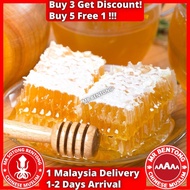 MR BENTONG HONEY Madu Asli Hutan Premium Pure Honey 野蜜蜂蜜 Tualang Kelulut Royale Jelly Sarang Lebah H