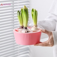 <Activee> Hyacinth Seed Hydroponic 3/5Holes Pots For Plants Soilless Plant Pot Lazy Hydroponic Flowe