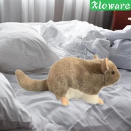 [Kloware] SiaBiced Plush Toy, Chinchilla/ Guinea Pig Stuffed Animal, Science Natural Education for
