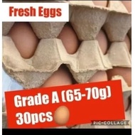 Fresh Eggs 30pcs x1 tray (Grade A 65-70g)