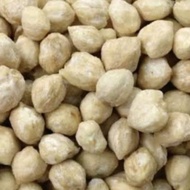 kemiri 1kg / kemiri bulat / kemiri bulat utuh / kemiri bulat 1kg