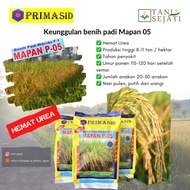 Mapan 05 | Kemasan 1 kg | Benih Padi Hibrida Mapan 05 | Bibit Padi