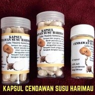 Cendawan Susu Harimau Asli