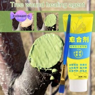 ROCKWAIN11 Tree Wound Sealant, with Brush Tree Repair Grafting Tree Sealer,  Smear Agent 100g Plant 