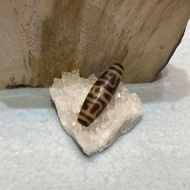 【水晶CRYSTAL】【老天珠 OLD DZI】【高品质】莲师法帽天珠Master Dharma Hat Motif DZI