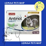 Antinol Cat 60 Caps อาหารเสริมบำรุงข้อสำหรับแมว (หมดอายุ 08/2025)