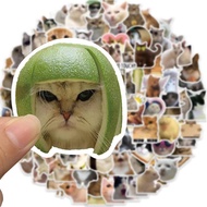 200 PCS Funny Cat Meme Stickers, Cute Vinyl Waterproof Sticker for Bicycle, Notebooks, Stationery, L