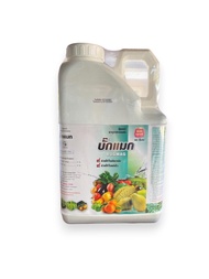 แมกนีเซียม คีเลต ( บั๊คแมก ) แกลอน 5 ลิตร Mg EDTA ใบเขียวเข้ม เร่งใบให้แก่เร็ว สะสมอาหารก่อนออกดอก