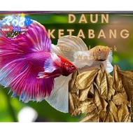 Daun Ketabang For Betta Fish Angel Fish Channa Fish Tank &amp; Aquarium Use (1pack)