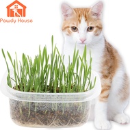 Natural Cat Grass Planting Kit Fast Growing Organic Wheat grass Seed Health Care Hairball Pet cat