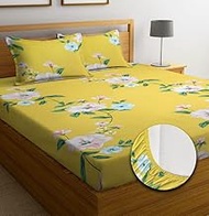 NEW LEAF Cotton All Around Elastic Fitted Premium Prints Queen Size Double Bed Bedsheet with 2 Large