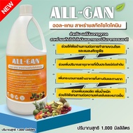 ปุ๋ยเสริมชนิดน้ำผลไม้นอกฤดู1000ML. เพิ่มตาดอก ติดผล ลดการหลุดร่วง น้ำหนักดี ALL GAN สาหร่ายสกัดไซโตไ