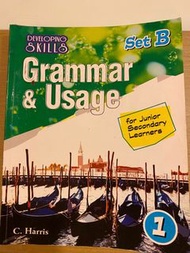 Developing Skills Grammar & Usage Set B