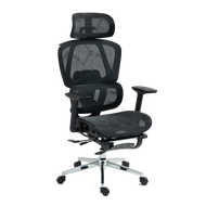 INPLAY EF100-G Ergonomic Chair Adjustable Breathable Design Long Sitting Comfort With Foot Rest Back