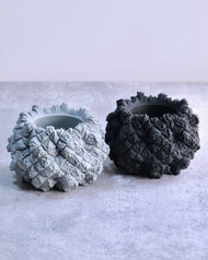 CBP012植木鉢 耐熱/室外/原創設計/多肉塊根植物/盆器盆栽/送禮