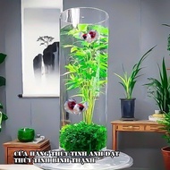 Decorative glass flower vase DK10xH40, cylindrical glass flower vase, cylindrical flower vase, candl