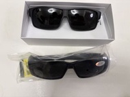 Polarized 太陽眼鏡 UV 100