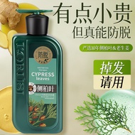 95% Kadar Arborvitae Daun Halia Syampu Anti-Keguguran Rambut untuk Menebalkan Rambut, Anti-Kelemumur