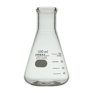 Erlenmeyer FLASK 3000mL. Erlenmeyer Pumpkin. Iwaki