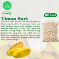 ( 100 Gram ) Benih Biji Timun Suri | Bonteng Suri | Timun Betik | Mentimun Suri