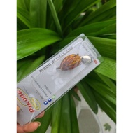 Thai Frog Squirrel pikok 7g. 3.5 cm. qsrtokz333