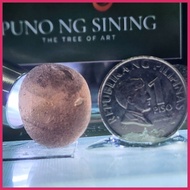 ☌ ▥ SAFFORDITE TEKTITE Cintamani HEALING CRYSTAL COLLECTORs Stone