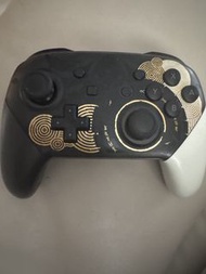 Nintendo Switch Pro 手掣