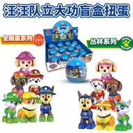 12Pcs Full Set New Original Paw Patrol Toys Chase Rocky Zuma Skye Rubble Capsule Toys Suit Blind Box Building Block Toys Dog Patrol Dog Police Puppy All Stars And Jungle Series Action Figure Toys Kids Gifts Birthday Present 23108