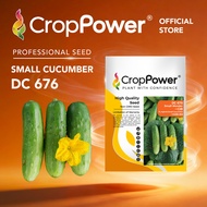Benih Timun Cucumber seeds 黄瓜种子 CROP POWER DC171 DC272 DC282 DC777 DC1119 DC989 DC676 DC878 OC575