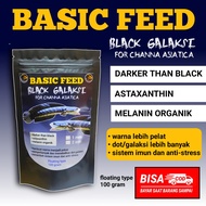 pelet ikan asiatica ws | makanan ikan basic feed black galaxy for channa asiatica ws BISA COD