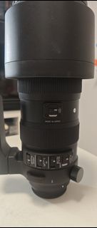 Sigma 60-600mm OS (Canon mount)