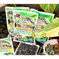 700G American Monstera Foliar Fertilizer for Foliage