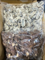 PATAHAN COKLAT TOP