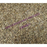 Cumin Cumin 100g Fennel Seed Spices Spices