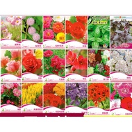多款花种子Mix flower seeds FW001七彩凤仙，蜂室花，美女樱花