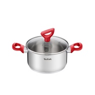 Tefal Edition Red Stainless Steel Induction Stewpot (18cm, 20cm, 24cm) Dishwasher Oven Safe No PFOA Silver