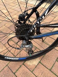 Giant Defy 公路車