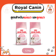 {1.2kg} Royal Canin อาหารเม็ด สูตรสำหรับแม่แมว และลูกแมว