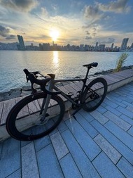 SCULTURA CARBON公路車(車架）